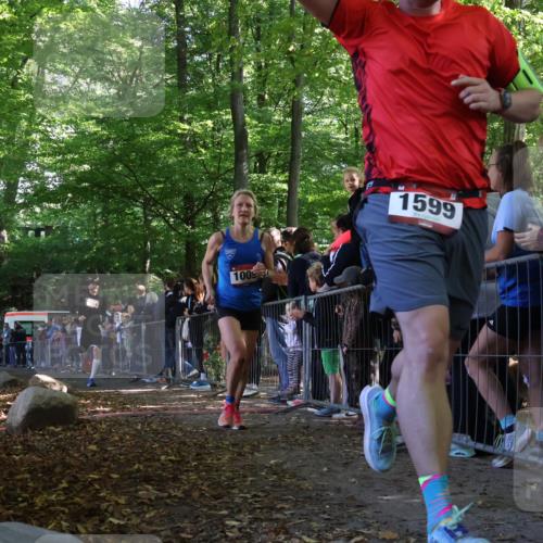 28.09.2025 - 33. Volkslauf durch das schöne Alstertal Strokosch-Dieckow http://msf.ph/oto/8969231 28.09.2025 11:49:35 Ziel 1009, 1599, 1616 meine-sportfotos.de