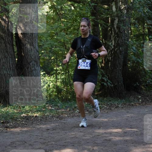 28.09.2025 - 33. Volkslauf durch das schöne Alstertal Strokosch-Dieckow http://msf.ph/oto/8969234 28.09.2025 11:23:54 Laufen 3944 meine-sportfotos.de