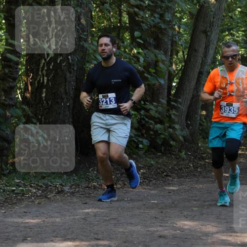 28.09.2025 - 33. Volkslauf durch das schöne Alstertal Strokosch-Dieckow http://msf.ph/oto/8969235 28.09.2025 11:24:05 Laufen 3213, 3935, 3298 meine-sportfotos.de