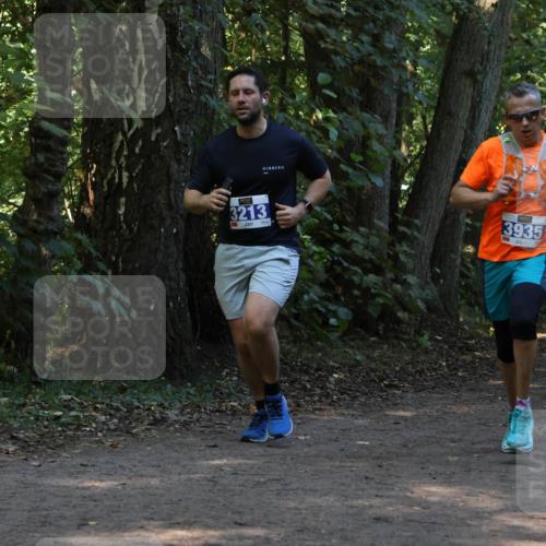 28.09.2025 - 33. Volkslauf durch das schöne Alstertal Strokosch-Dieckow http://msf.ph/oto/8969236 28.09.2025 11:24:05 Laufen 3213, 3935, 3298 meine-sportfotos.de
