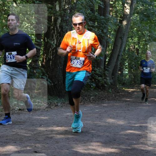 28.09.2025 - 33. Volkslauf durch das schöne Alstertal Strokosch-Dieckow http://msf.ph/oto/8969242 28.09.2025 11:24:07 Laufen 3213, 3935, 3298 meine-sportfotos.de