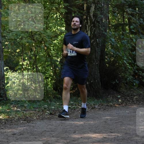 28.09.2025 - 33. Volkslauf durch das schöne Alstertal Strokosch-Dieckow http://msf.ph/oto/8969252 28.09.2025 11:24:25 Laufen 3212 meine-sportfotos.de