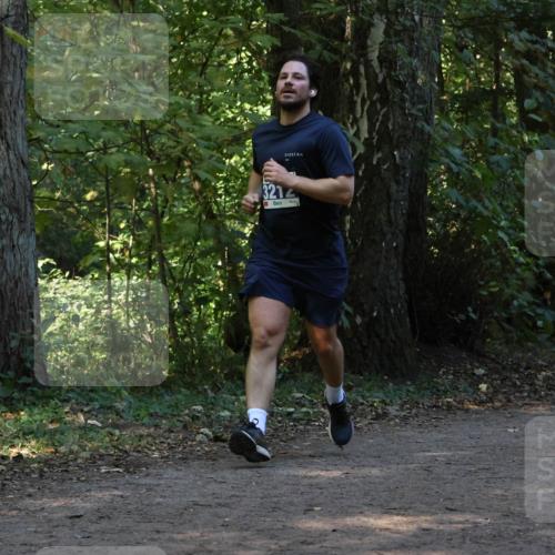 28.09.2025 - 33. Volkslauf durch das schöne Alstertal Strokosch-Dieckow http://msf.ph/oto/8969253 28.09.2025 11:24:25 Laufen 321 meine-sportfotos.de