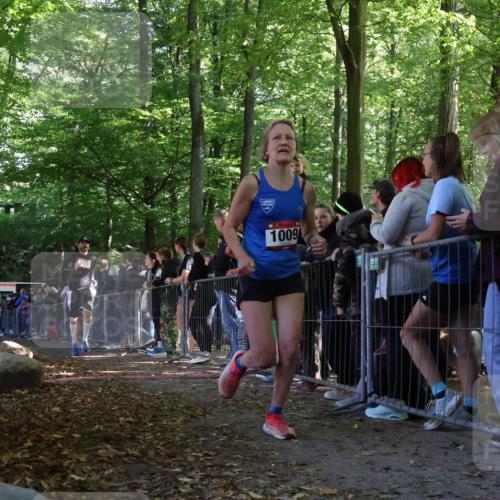28.09.2025 - 33. Volkslauf durch das schöne Alstertal Strokosch-Dieckow http://msf.ph/oto/8969255 28.09.2025 11:49:35 Ziel 1009, 1599, 1616 meine-sportfotos.de