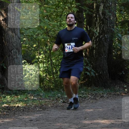 28.09.2025 - 33. Volkslauf durch das schöne Alstertal Strokosch-Dieckow http://msf.ph/oto/8969257 28.09.2025 11:24:25 Laufen 3212 meine-sportfotos.de