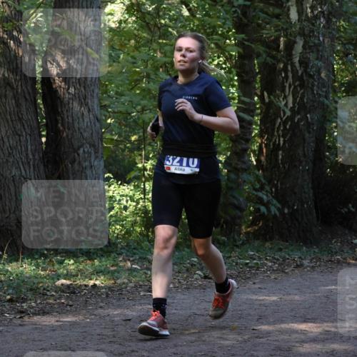 28.09.2025 - 33. Volkslauf durch das schöne Alstertal Strokosch-Dieckow http://msf.ph/oto/8969261 28.09.2025 11:24:30 Laufen 3210 meine-sportfotos.de