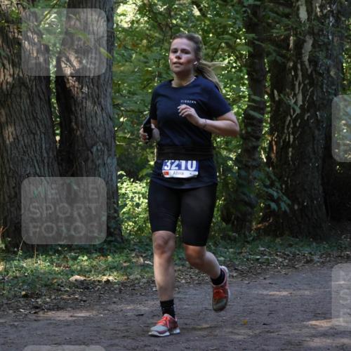 28.09.2025 - 33. Volkslauf durch das schöne Alstertal Strokosch-Dieckow http://msf.ph/oto/8969262 28.09.2025 11:24:30 Laufen 3210 meine-sportfotos.de