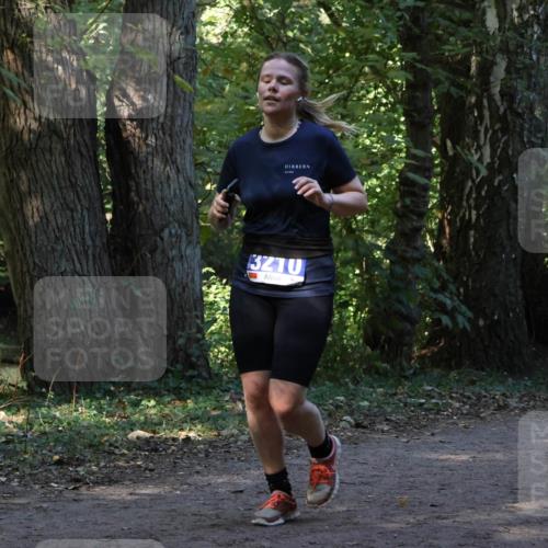 28.09.2025 - 33. Volkslauf durch das schöne Alstertal Strokosch-Dieckow http://msf.ph/oto/8969263 28.09.2025 11:24:30 Laufen 3210 meine-sportfotos.de