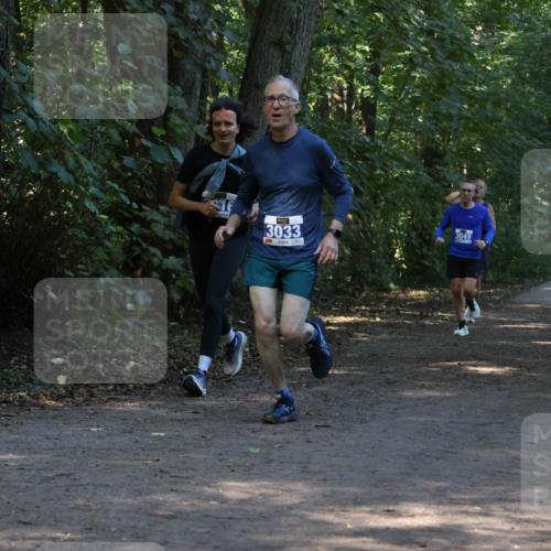 28.09.2025 - 33. Volkslauf durch das schöne Alstertal Strokosch-Dieckow http://msf.ph/oto/8969265 28.09.2025 11:24:44 Laufen 3033, 3049 meine-sportfotos.de