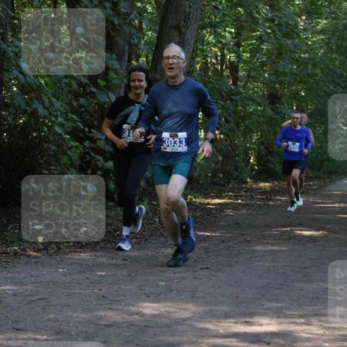 28.09.2025 - 33. Volkslauf durch das schöne Alstertal Strokosch-Dieckow http://msf.ph/oto/8969266 28.09.2025 11:24:45 Laufen 31, 3033, 3049 meine-sportfotos.de