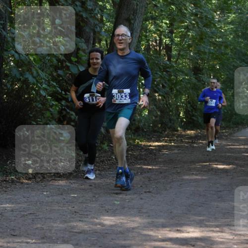 28.09.2025 - 33. Volkslauf durch das schöne Alstertal Strokosch-Dieckow http://msf.ph/oto/8969267 28.09.2025 11:24:45 Laufen 311, 3033, 3049, 164 meine-sportfotos.de