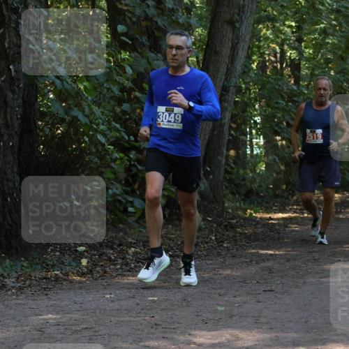 28.09.2025 - 33. Volkslauf durch das schöne Alstertal Strokosch-Dieckow http://msf.ph/oto/8969276 28.09.2025 11:24:51 Laufen 3049, 2519, 1506 meine-sportfotos.de