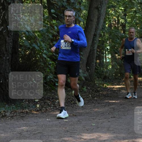 28.09.2025 - 33. Volkslauf durch das schöne Alstertal Strokosch-Dieckow http://msf.ph/oto/8969278 28.09.2025 11:24:51 Laufen 3049, 2515, 1506 meine-sportfotos.de
