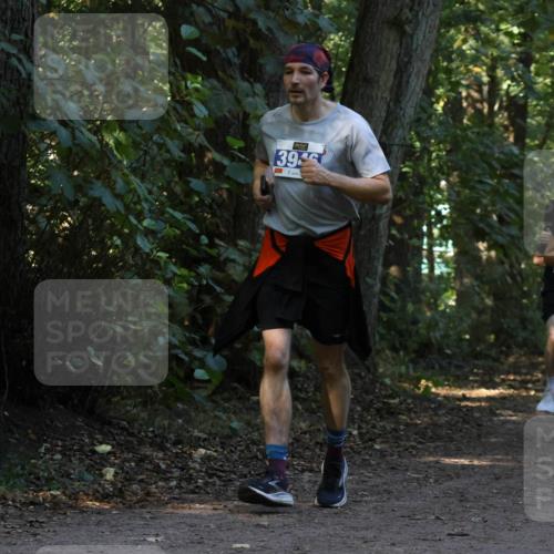 28.09.2025 - 33. Volkslauf durch das schöne Alstertal Strokosch-Dieckow http://msf.ph/oto/8969284 28.09.2025 11:25:01 Laufen 39, 3936, 3812 meine-sportfotos.de