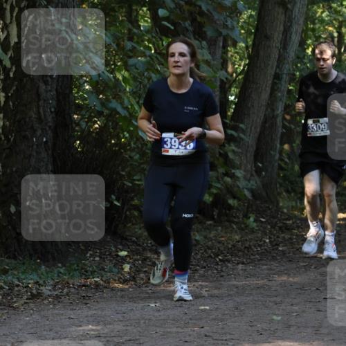 28.09.2025 - 33. Volkslauf durch das schöne Alstertal Strokosch-Dieckow http://msf.ph/oto/8969285 28.09.2025 11:25:04 Laufen 393, 3309, 3313 meine-sportfotos.de