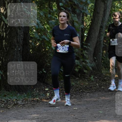 28.09.2025 - 33. Volkslauf durch das schöne Alstertal Strokosch-Dieckow http://msf.ph/oto/8969286 28.09.2025 11:25:04 Laufen 3936, 3309, 3313 meine-sportfotos.de