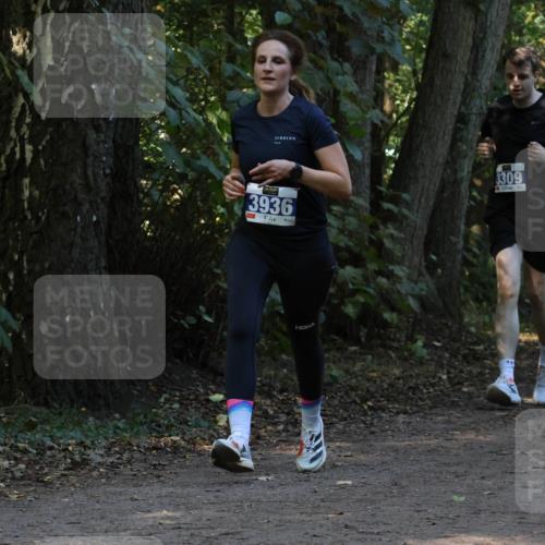 28.09.2025 - 33. Volkslauf durch das schöne Alstertal Strokosch-Dieckow http://msf.ph/oto/8969287 28.09.2025 11:25:04 Laufen 3936, 3309, 3313, 22 meine-sportfotos.de