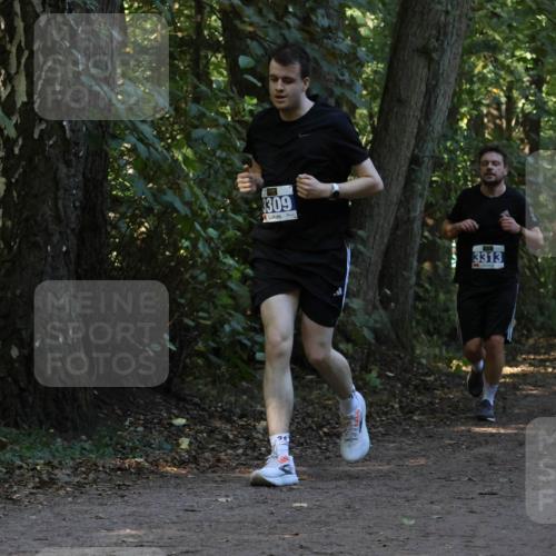 28.09.2025 - 33. Volkslauf durch das schöne Alstertal Strokosch-Dieckow http://msf.ph/oto/8969288 28.09.2025 11:25:05 Laufen 3309, 22, 3313, 3312 meine-sportfotos.de