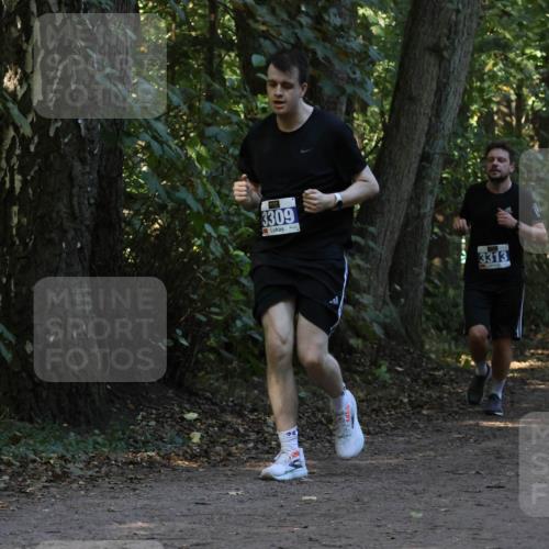 28.09.2025 - 33. Volkslauf durch das schöne Alstertal Strokosch-Dieckow http://msf.ph/oto/8969289 28.09.2025 11:25:06 Laufen 3309, 3313, 3312 meine-sportfotos.de