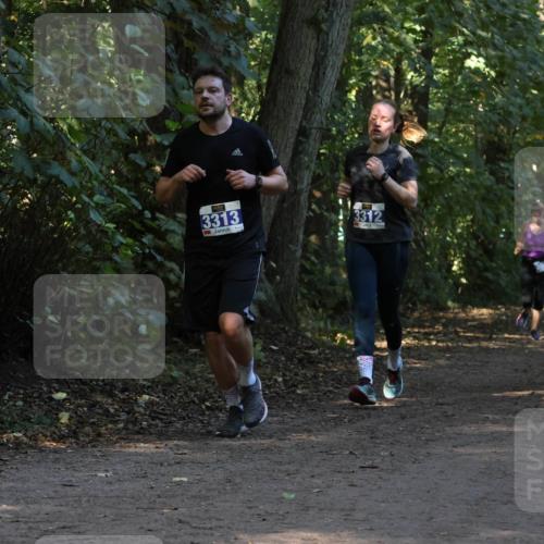 28.09.2025 - 33. Volkslauf durch das schöne Alstertal Strokosch-Dieckow http://msf.ph/oto/8969292 28.09.2025 11:25:07 Laufen 3313, 3312 meine-sportfotos.de