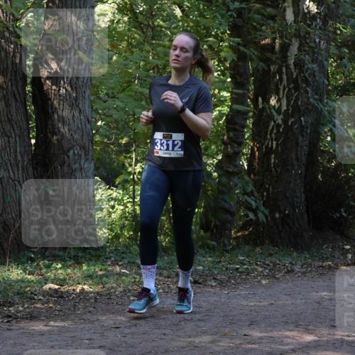 28.09.2025 - 33. Volkslauf durch das schöne Alstertal Strokosch-Dieckow http://msf.ph/oto/8969293 28.09.2025 11:25:11 Laufen 3312 meine-sportfotos.de