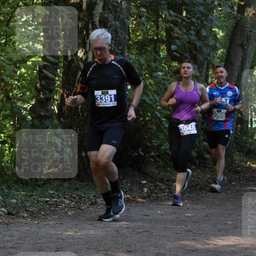 28.09.2025 - 33. Volkslauf durch das schöne Alstertal Strokosch-Dieckow http://msf.ph/oto/8969297 28.09.2025 11:25:16 Laufen 3391, 3048, 3066 meine-sportfotos.de