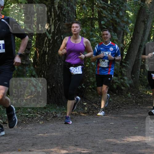 28.09.2025 - 33. Volkslauf durch das schöne Alstertal Strokosch-Dieckow http://msf.ph/oto/8969300 28.09.2025 11:25:16 Laufen 3391, 3, 3048, 3066 meine-sportfotos.de