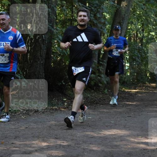 28.09.2025 - 33. Volkslauf durch das schöne Alstertal Strokosch-Dieckow http://msf.ph/oto/8969302 28.09.2025 11:25:18 Laufen 3066, 3300, 304 meine-sportfotos.de