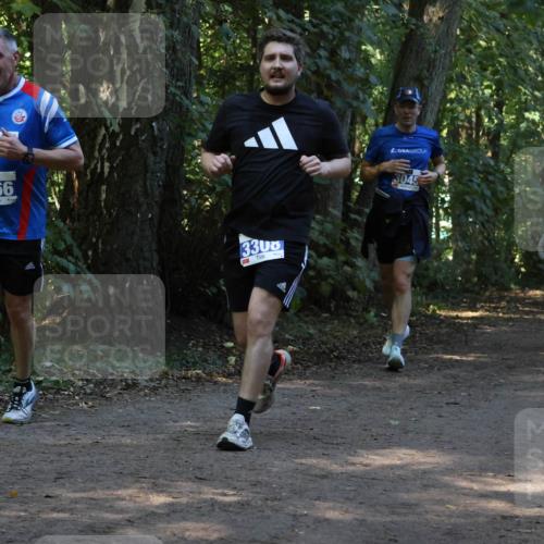 28.09.2025 - 33. Volkslauf durch das schöne Alstertal Strokosch-Dieckow http://msf.ph/oto/8969303 28.09.2025 11:25:18 Laufen 3066, 3, 3300, 4, 3045 meine-sportfotos.de