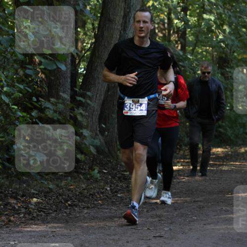 28.09.2025 - 33. Volkslauf durch das schöne Alstertal Strokosch-Dieckow http://msf.ph/oto/8969315 28.09.2025 11:25:33 Laufen 3954 meine-sportfotos.de