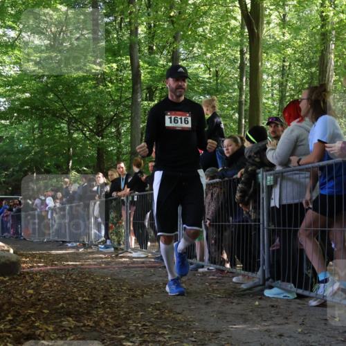 28.09.2025 - 33. Volkslauf durch das schöne Alstertal Strokosch-Dieckow http://msf.ph/oto/8969316 28.09.2025 11:49:37 Ziel 1616 meine-sportfotos.de