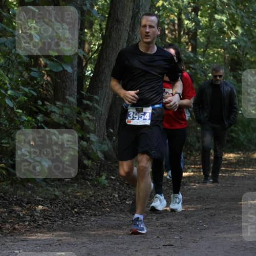 28.09.2025 - 33. Volkslauf durch das schöne Alstertal Strokosch-Dieckow http://msf.ph/oto/8969317 28.09.2025 11:25:33 Laufen 3954 meine-sportfotos.de