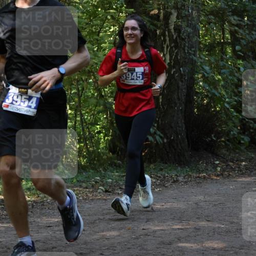 28.09.2025 - 33. Volkslauf durch das schöne Alstertal Strokosch-Dieckow http://msf.ph/oto/8969318 28.09.2025 11:25:36 Laufen 3954, 3945 meine-sportfotos.de