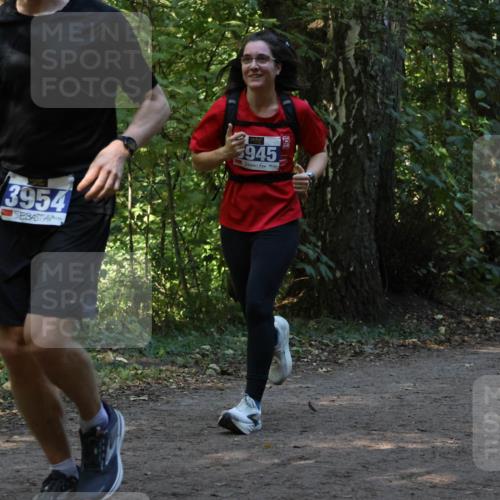 28.09.2025 - 33. Volkslauf durch das schöne Alstertal Strokosch-Dieckow http://msf.ph/oto/8969319 28.09.2025 11:25:36 Laufen 3954, 945 meine-sportfotos.de
