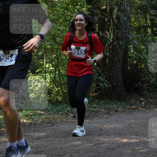 28.09.2025 - 33. Volkslauf durch das schöne Alstertal Strokosch-Dieckow http://msf.ph/oto/8969320 28.09.2025 11:25:36 Laufen 3954, 3945 meine-sportfotos.de