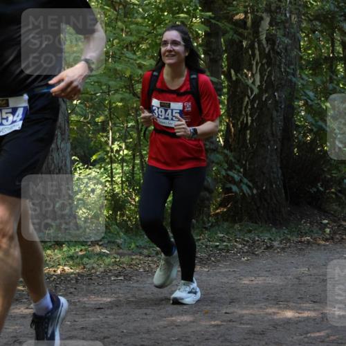 28.09.2025 - 33. Volkslauf durch das schöne Alstertal Strokosch-Dieckow http://msf.ph/oto/8969321 28.09.2025 11:25:37 Laufen 3954, 3945 meine-sportfotos.de