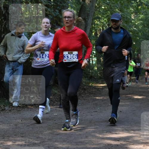 28.09.2025 - 33. Volkslauf durch das schöne Alstertal Strokosch-Dieckow http://msf.ph/oto/8969323 28.09.2025 11:25:42 Laufen 3142, 3306 meine-sportfotos.de
