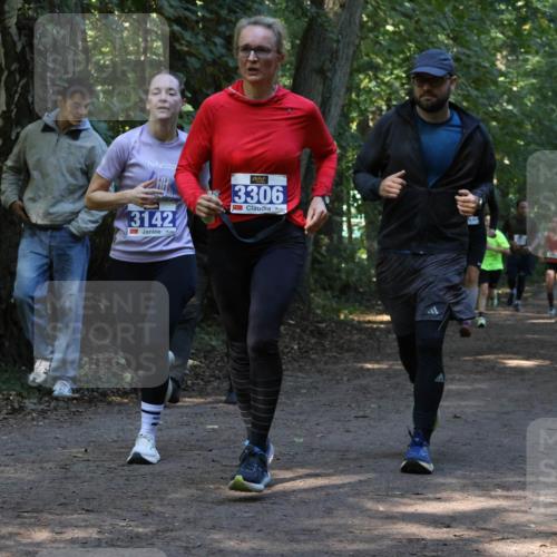 28.09.2025 - 33. Volkslauf durch das schöne Alstertal Strokosch-Dieckow http://msf.ph/oto/8969324 28.09.2025 11:25:42 Laufen 3142, 3306 meine-sportfotos.de