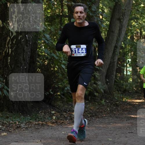 28.09.2025 - 33. Volkslauf durch das schöne Alstertal Strokosch-Dieckow http://msf.ph/oto/8969326 28.09.2025 11:25:46 Laufen 3144 meine-sportfotos.de