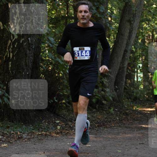 28.09.2025 - 33. Volkslauf durch das schöne Alstertal Strokosch-Dieckow http://msf.ph/oto/8969327 28.09.2025 11:25:46 Laufen 3144, 02, 3140 meine-sportfotos.de