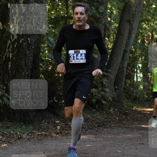 28.09.2025 - 33. Volkslauf durch das schöne Alstertal Strokosch-Dieckow http://msf.ph/oto/8969328 28.09.2025 11:25:46 Laufen 3144, 002 meine-sportfotos.de