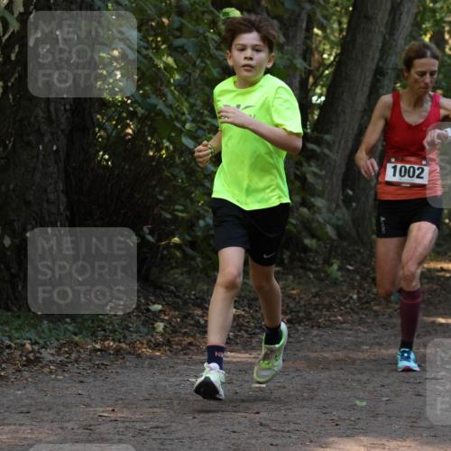 28.09.2025 - 33. Volkslauf durch das schöne Alstertal Strokosch-Dieckow http://msf.ph/oto/8969331 28.09.2025 11:25:49 Laufen 1002 meine-sportfotos.de