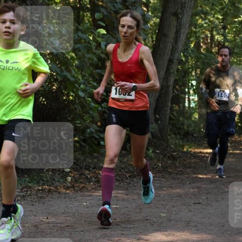 28.09.2025 - 33. Volkslauf durch das schöne Alstertal Strokosch-Dieckow http://msf.ph/oto/8969332 28.09.2025 11:25:49 Laufen 1002, 3140 meine-sportfotos.de