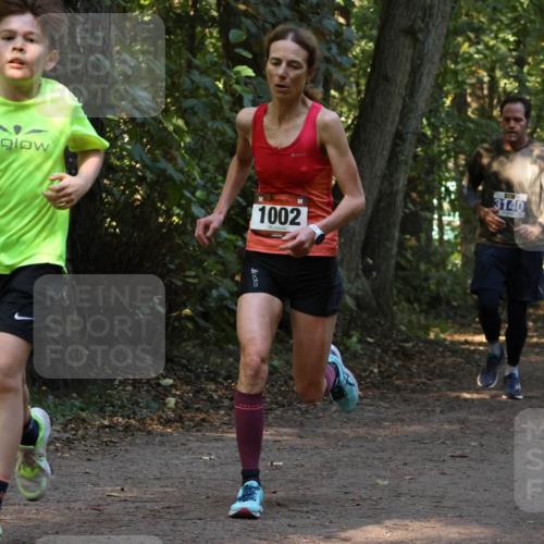 28.09.2025 - 33. Volkslauf durch das schöne Alstertal Strokosch-Dieckow http://msf.ph/oto/8969333 28.09.2025 11:25:50 Laufen 1002, 3140 meine-sportfotos.de
