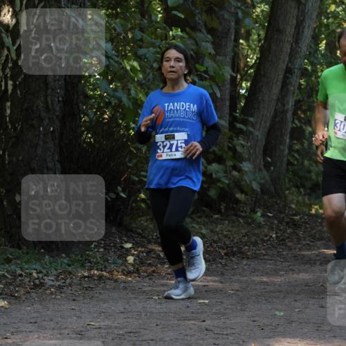 28.09.2025 - 33. Volkslauf durch das schöne Alstertal Strokosch-Dieckow http://msf.ph/oto/8969345 28.09.2025 11:26:04 Laufen 3275, 303 meine-sportfotos.de