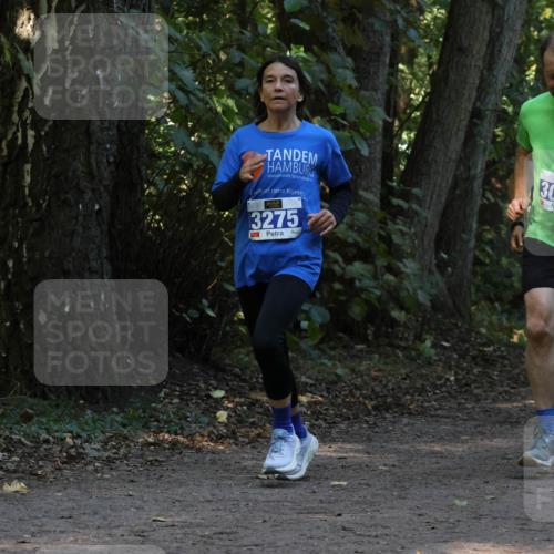 28.09.2025 - 33. Volkslauf durch das schöne Alstertal Strokosch-Dieckow http://msf.ph/oto/8969346 28.09.2025 11:26:04 Laufen 3275, 3037 meine-sportfotos.de