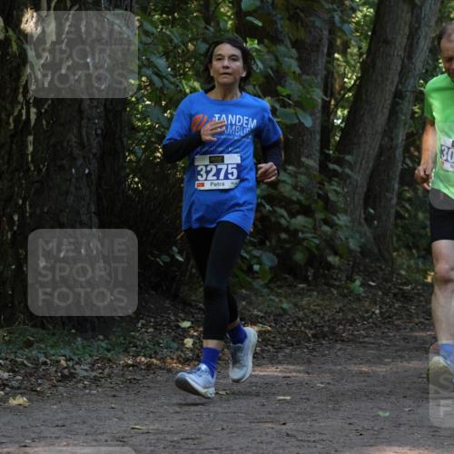 28.09.2025 - 33. Volkslauf durch das schöne Alstertal Strokosch-Dieckow http://msf.ph/oto/8969347 28.09.2025 11:26:04 Laufen 3275, 3037 meine-sportfotos.de