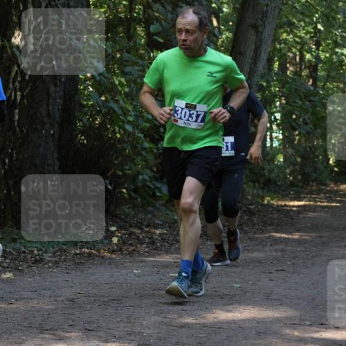 28.09.2025 - 33. Volkslauf durch das schöne Alstertal Strokosch-Dieckow http://msf.ph/oto/8969348 28.09.2025 11:26:05 Laufen 3275, 3037, 31 meine-sportfotos.de