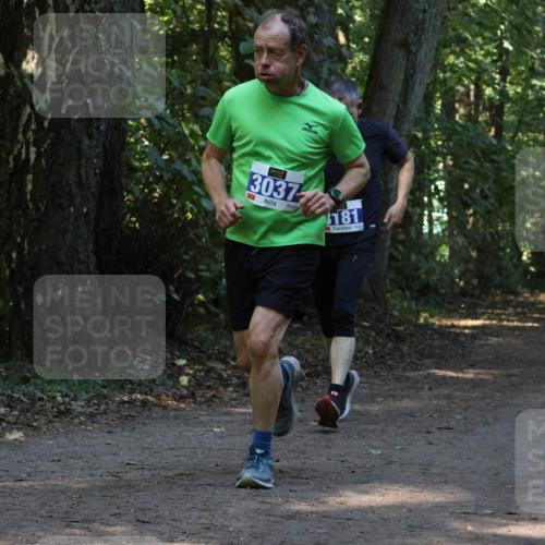 28.09.2025 - 33. Volkslauf durch das schöne Alstertal Strokosch-Dieckow http://msf.ph/oto/8969350 28.09.2025 11:26:06 Laufen 3275, 3037, 181 meine-sportfotos.de