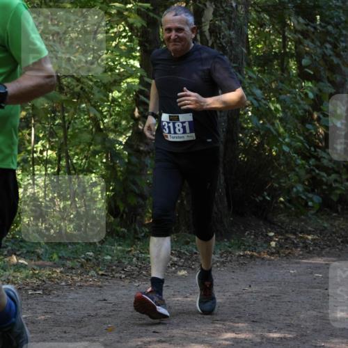 28.09.2025 - 33. Volkslauf durch das schöne Alstertal Strokosch-Dieckow http://msf.ph/oto/8969351 28.09.2025 11:26:07 Laufen 303, 3181 meine-sportfotos.de